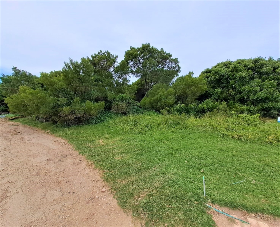 0 Bedroom Property for Sale in Paradise Beach Eastern Cape